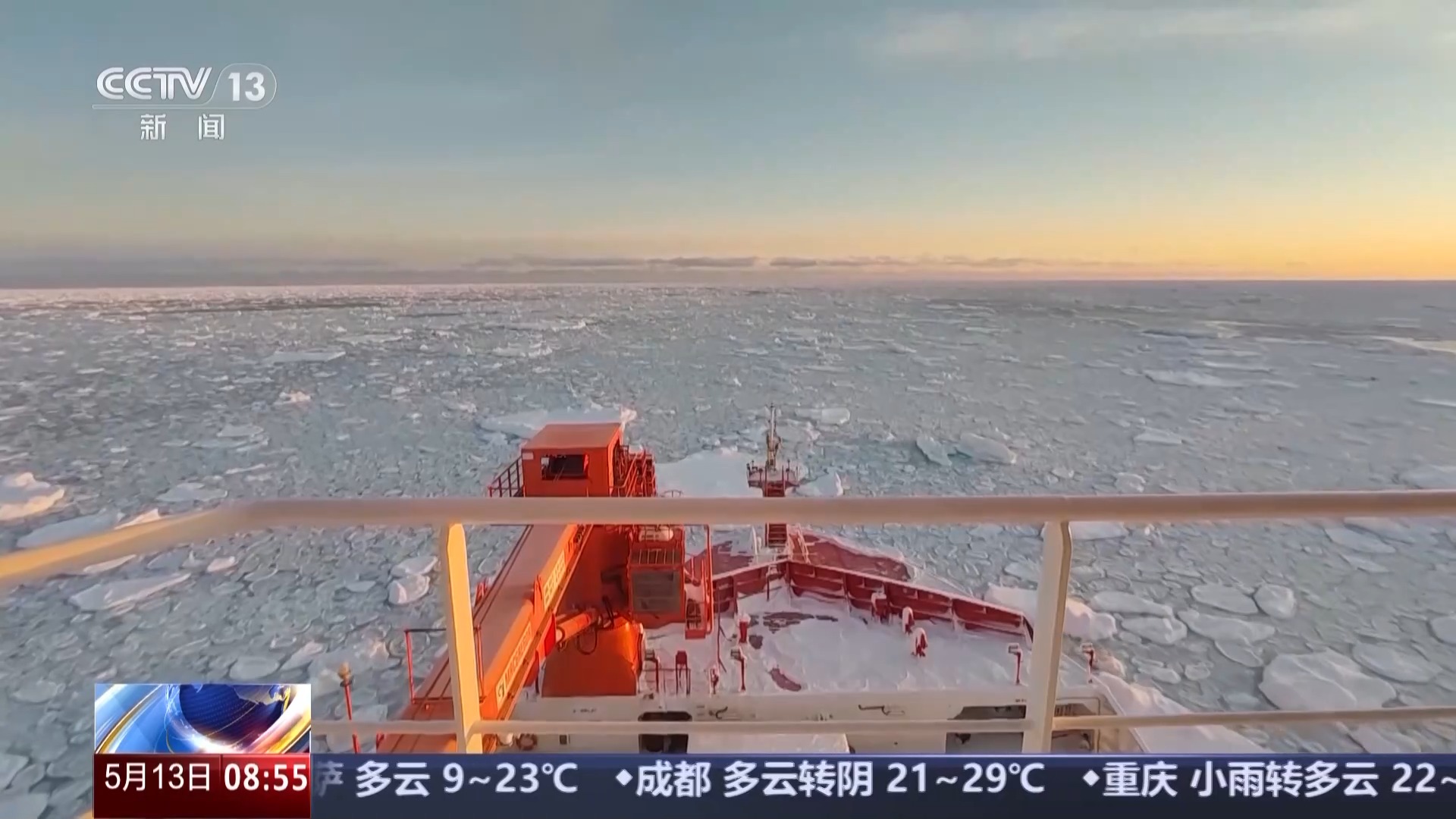 涉及海冰研究、海洋生物等 中国南极科考有了新发现