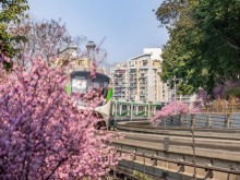 “声动”二十四节气·惊蛰丨轻雷惊春 万物焕新