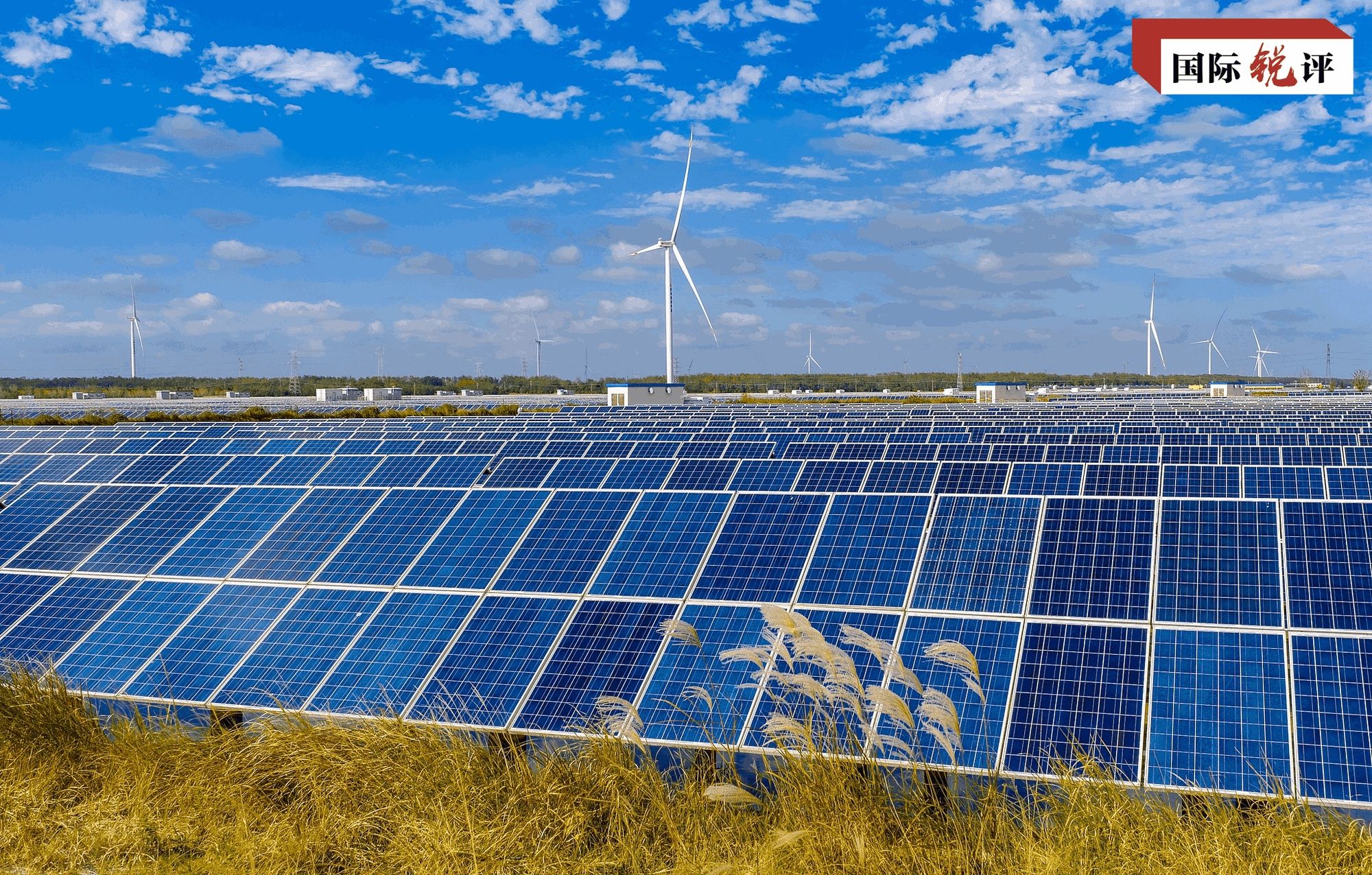 国际锐评丨落实天津峰会成果 把上合组织做优做强