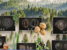 东亚古人类“食谱”有哪些？稻作文明起源密码是啥？答案来了