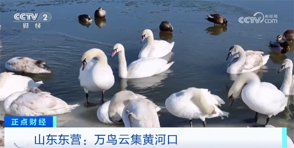 生态保护工作多管齐下“多姿多彩” 美丽中国画卷徐徐展开