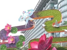 10组主题花坛亮相长安街沿线 纪念抗战胜利80周年