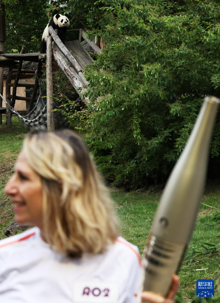 旅法大熊猫见证巴黎奥运圣火传递 旅法大熊猫见证巴黎奥运圣火传递