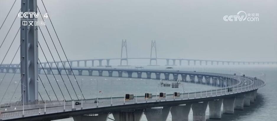 “双向奔赴”架起“连心桥” 两岸青年同心同行共议青春梦想