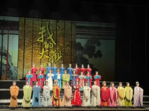 台湾观众“我们都爱陈丽君”背后