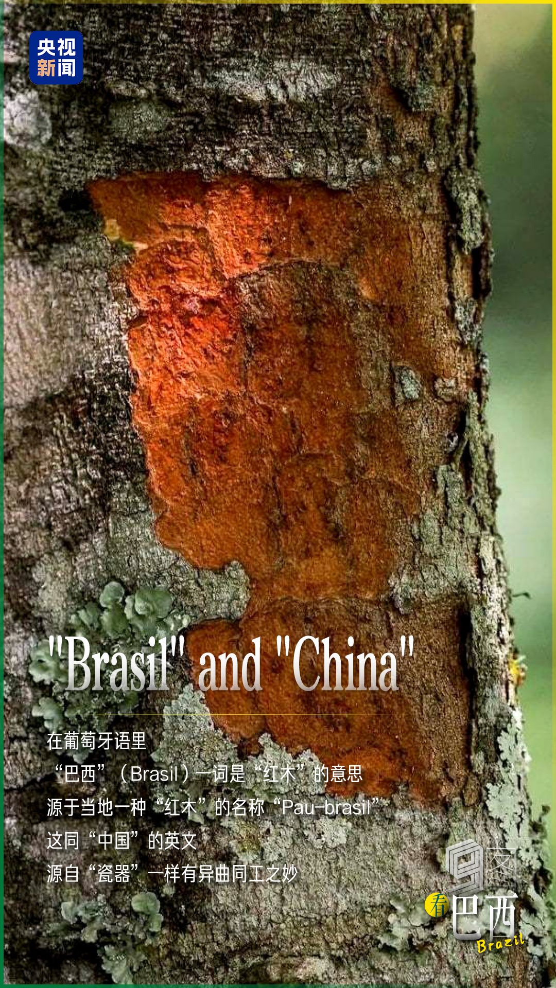 跟着习主席看世界｜9图看巴西