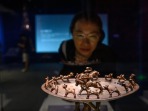 上合组织国家博物馆藏文物联展在京开幕