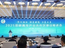 2025海峡两岸产业合作区建设推进会开幕