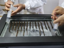 海昏简牍经文保修复数量更新为5795枚