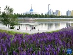阿斯塔纳夏日