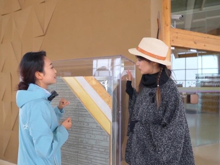 沙漠中的神奇酒店如何融合沙漠文化、生态环保与现代建筑技术