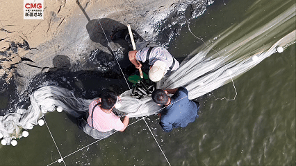 新疆巴州：“死亡之海”爆改“鱼米之乡”