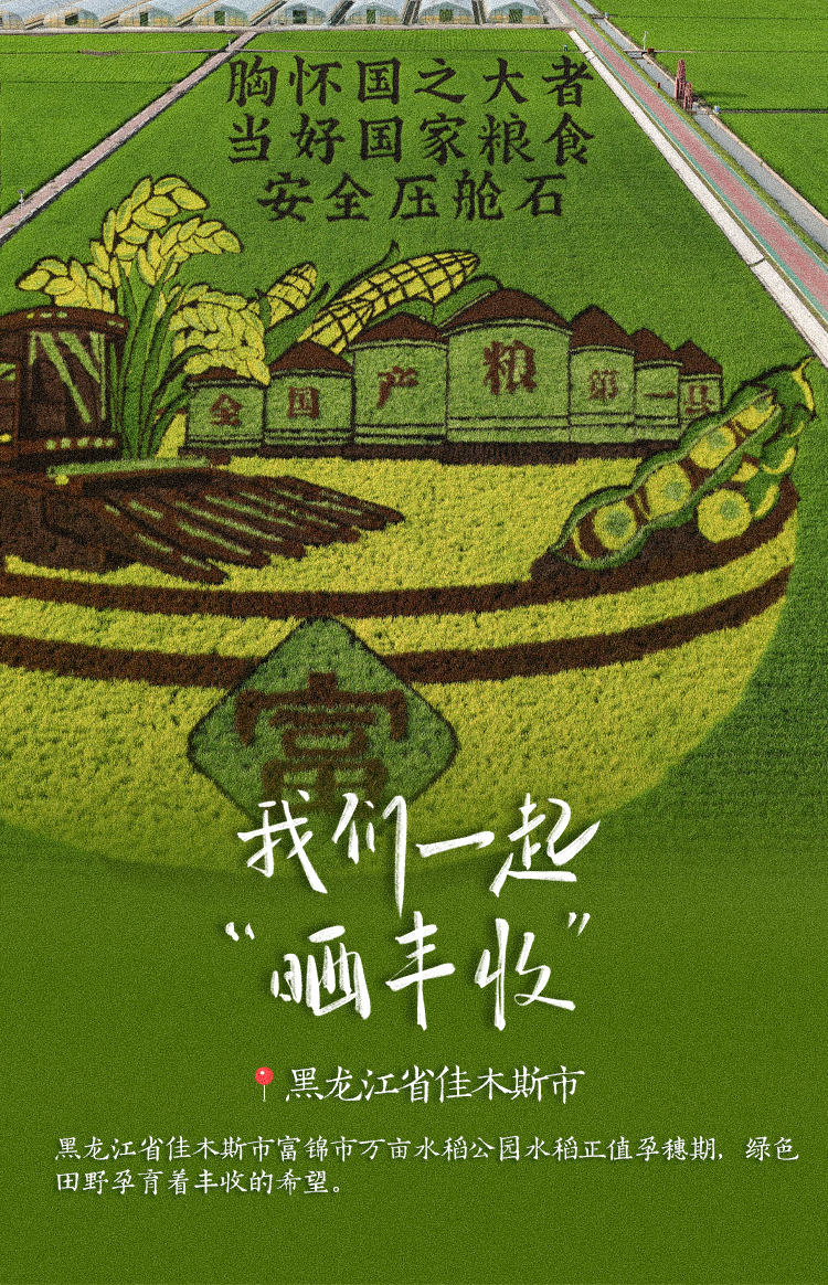 稻花香里说丰年！高清大图邀您共赏华夏“丰”光