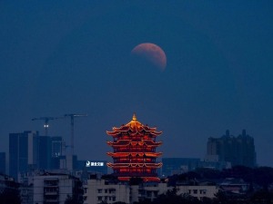 元宵夜×月全食！这场中国境内可见的天象值得期待