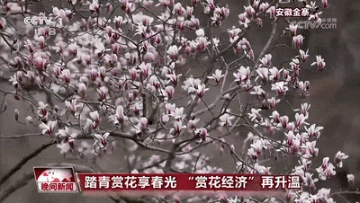 一起乘上开往春天的时光火车 穿越花海