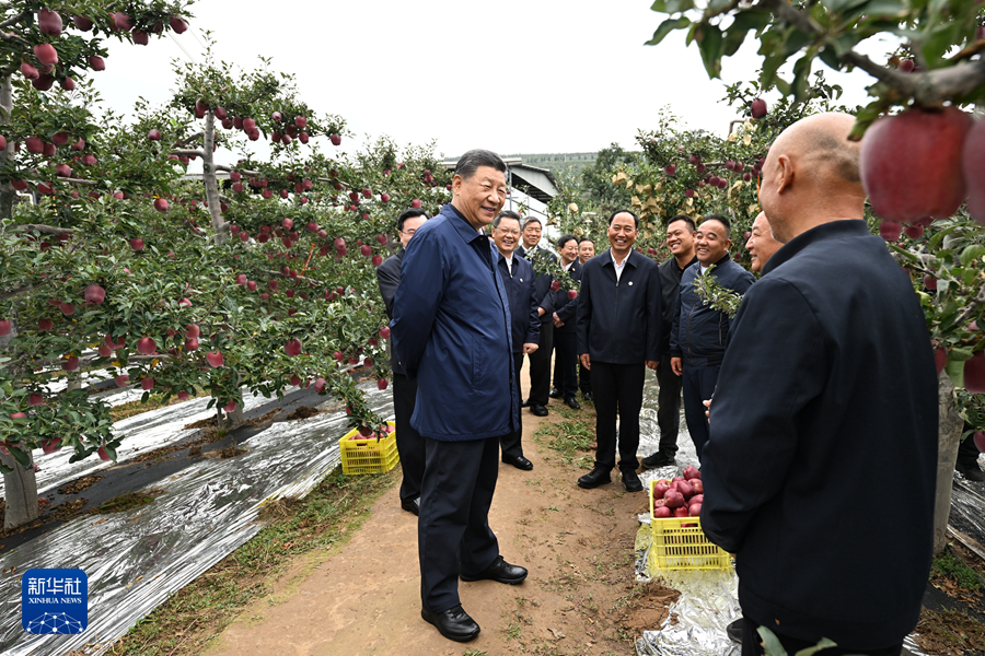 習近平在甘肅考察 習近平在甘肅考察