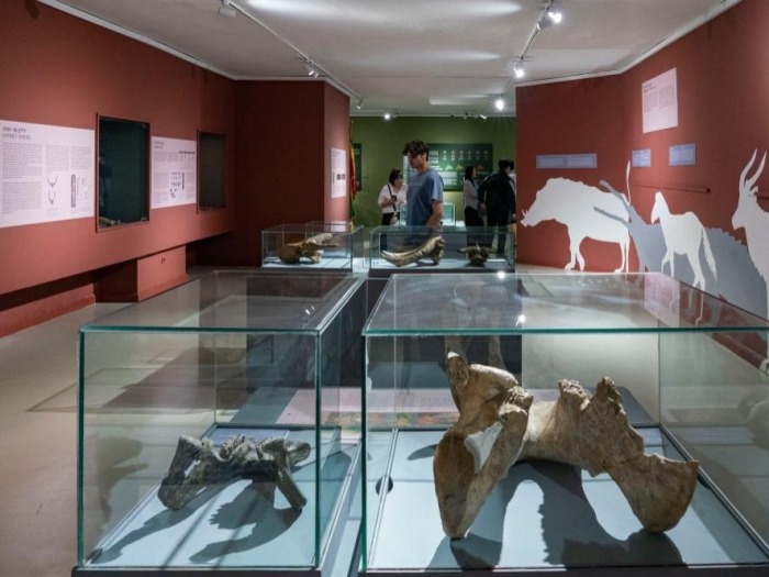 感受埃塞俄比亚国家博物馆