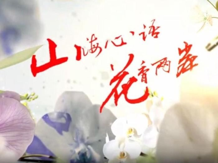 云南首部两岸花卉文旅微短剧《山海心语 花香两岸》（第九集）