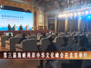 【海峡两岸】第三届海峡两岸中华文化峰会在北京举行