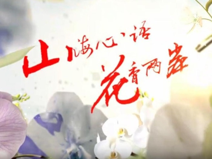 云南首部两岸花卉文旅微短剧《山海心语 花香两岸》（第三集）