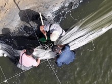 新疆巴州：“死亡之海”爆改“鱼米之乡”