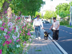 台湾歌手视障人士日常出行：导盲犬是值得托付的“第二双眼睛”