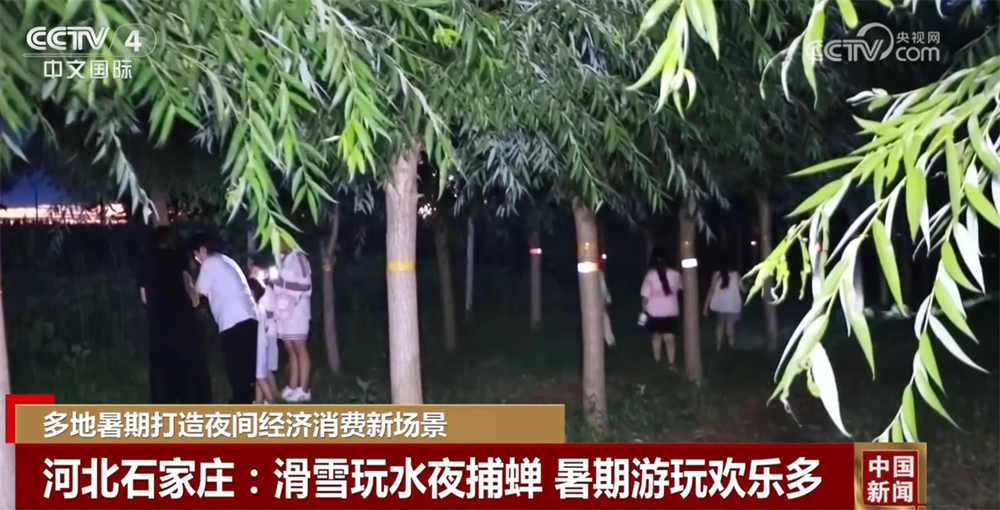 夜市、夜游、“夜戏水”……缤纷“夜经济”激发夏日文旅新活力