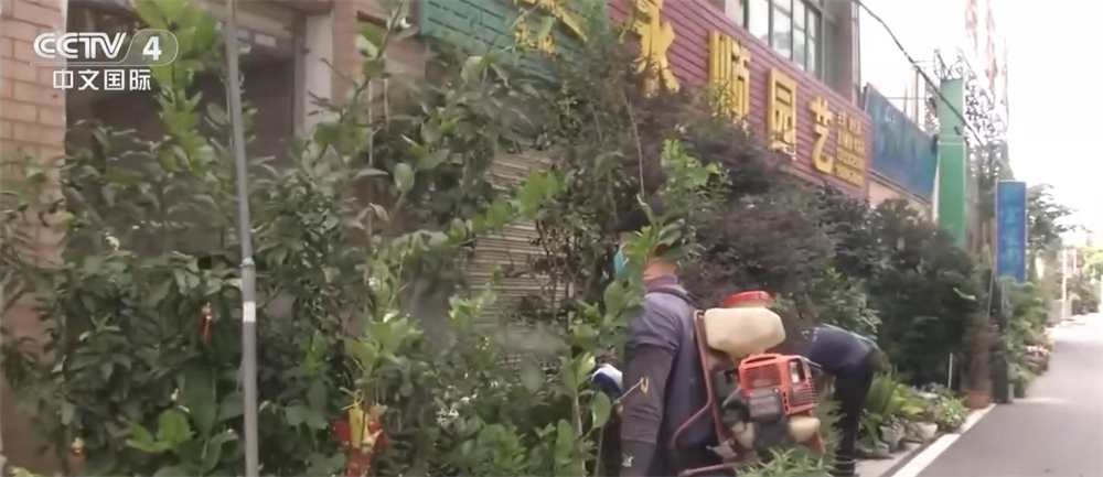 针对基孔肯雅热怎么用药？怎么治疗？怎么防护？这份医生建议“干货满满”↓