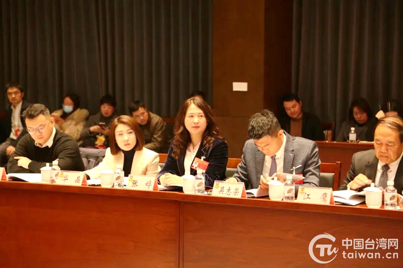 台胞代表列席政协会议 为推进汉台融合发展建言献策