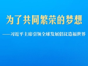 为了共同繁荣的梦想——习近平主席引领全球发展倡议造福世界