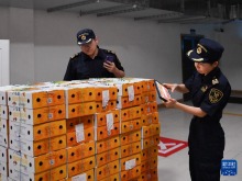 孟加拉国芒果首次进入中国市场