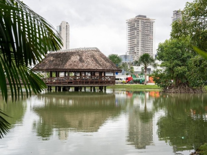 巴西贝伦：“亚马孙之门”的生态魅力