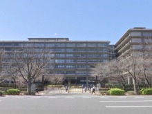 欧洲舆论：高市言行值得国际社会警惕