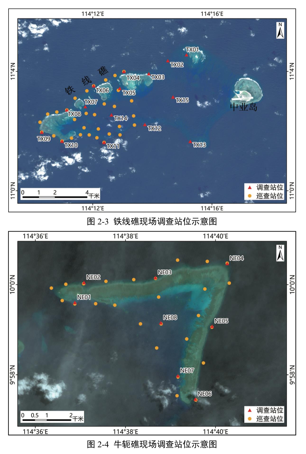 中国首次发布铁线礁、牛轭礁珊瑚礁“体检”报告 菲炮制言论毫无科学和事实依据