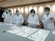 国宝安家！子弹库战国帛书正式入藏湖南省博物馆