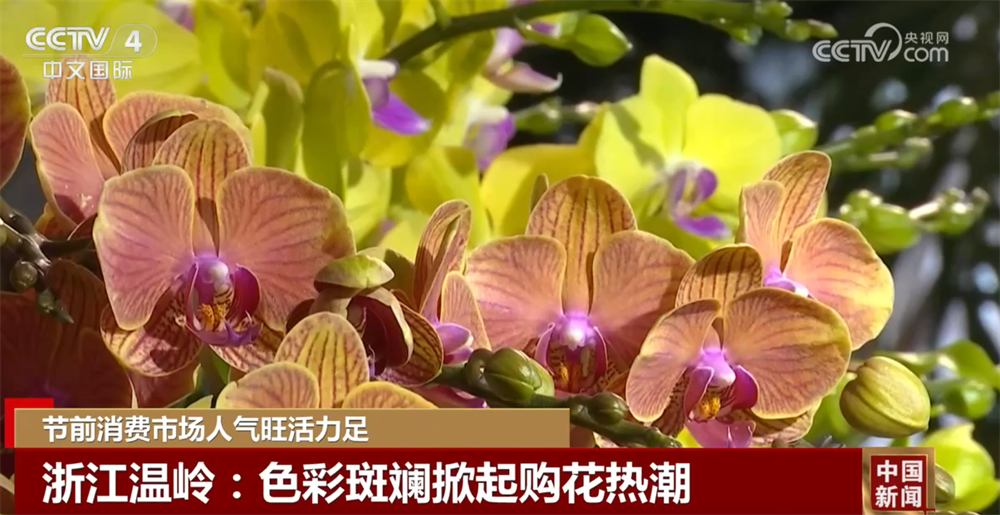 多元业态绘就新图景解锁新花样 节前各地消费市场活力足、人气旺