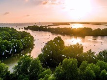 “十四五”中国300余种濒危植物野外回归 “生命方舟”加速完善