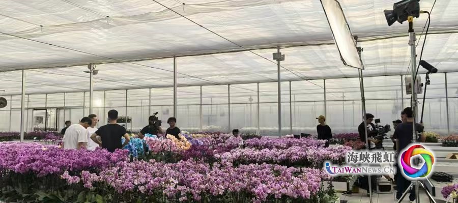 云南首部两岸花卉文旅微短剧《山海心语 花香两岸》杀青_fororder_2