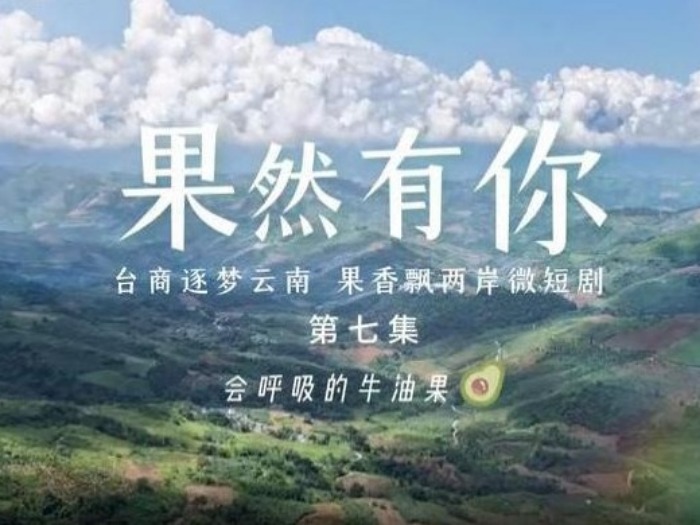两岸微短剧《果然有你》第七集：会呼吸的牛油果