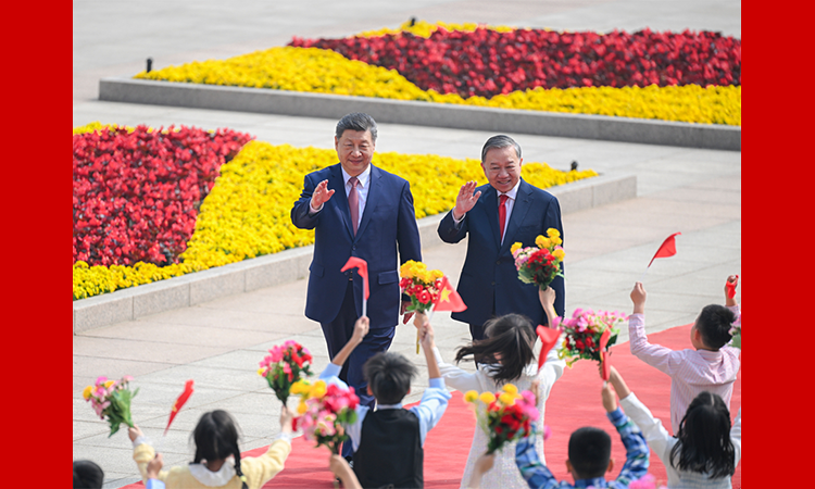 习近平同越共中央总书记、国家主席苏林举行会谈