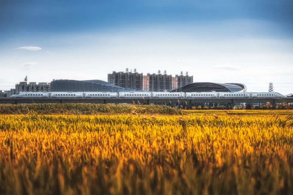 这条高铁近期特别火!除了美景还有不能“辜负”的美食 这条高铁近期特别火!除了美景还有不能“辜负”的美食