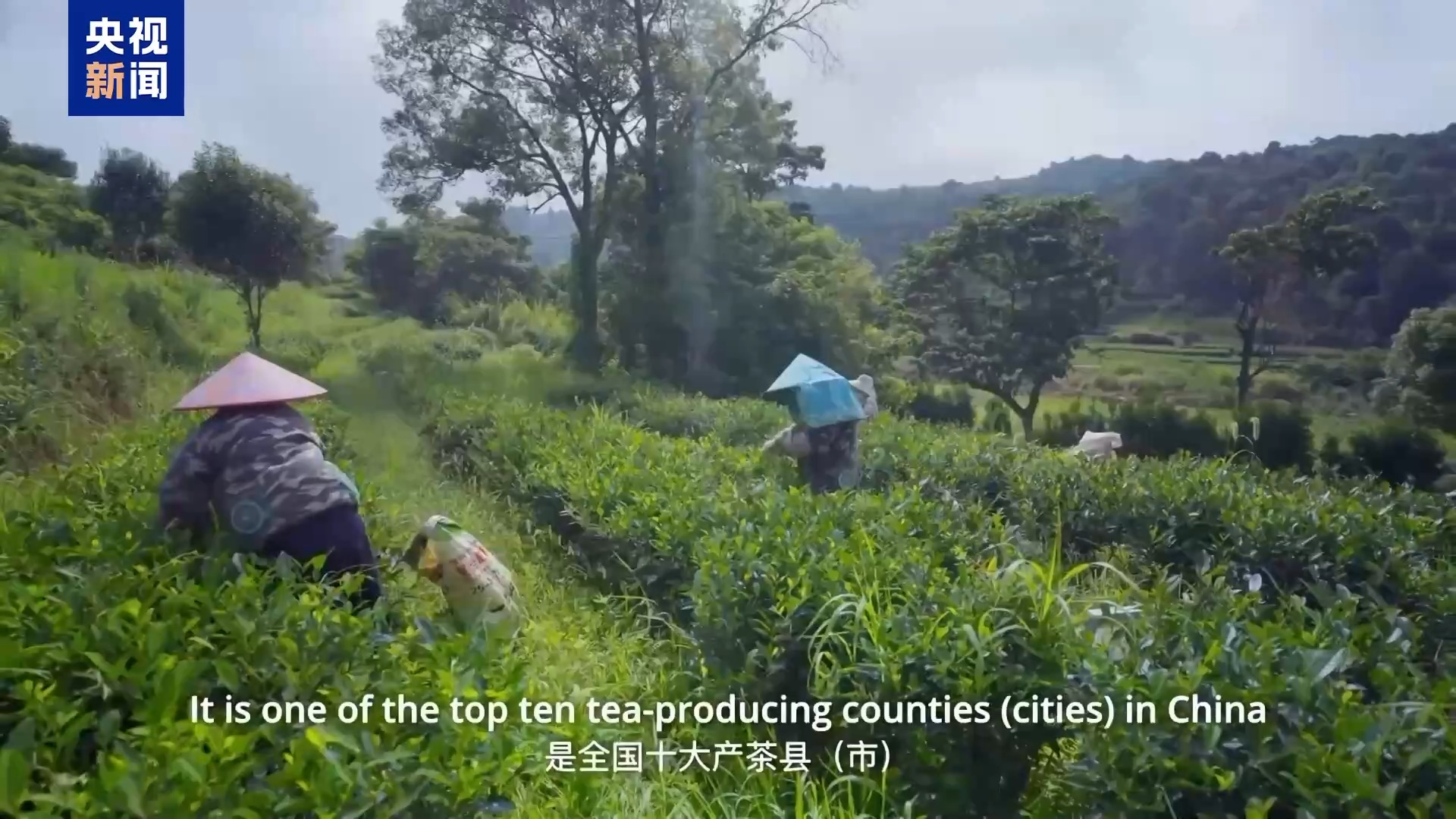 联合国粮农组织：中国新增3项全球重要农业文化遗产系统