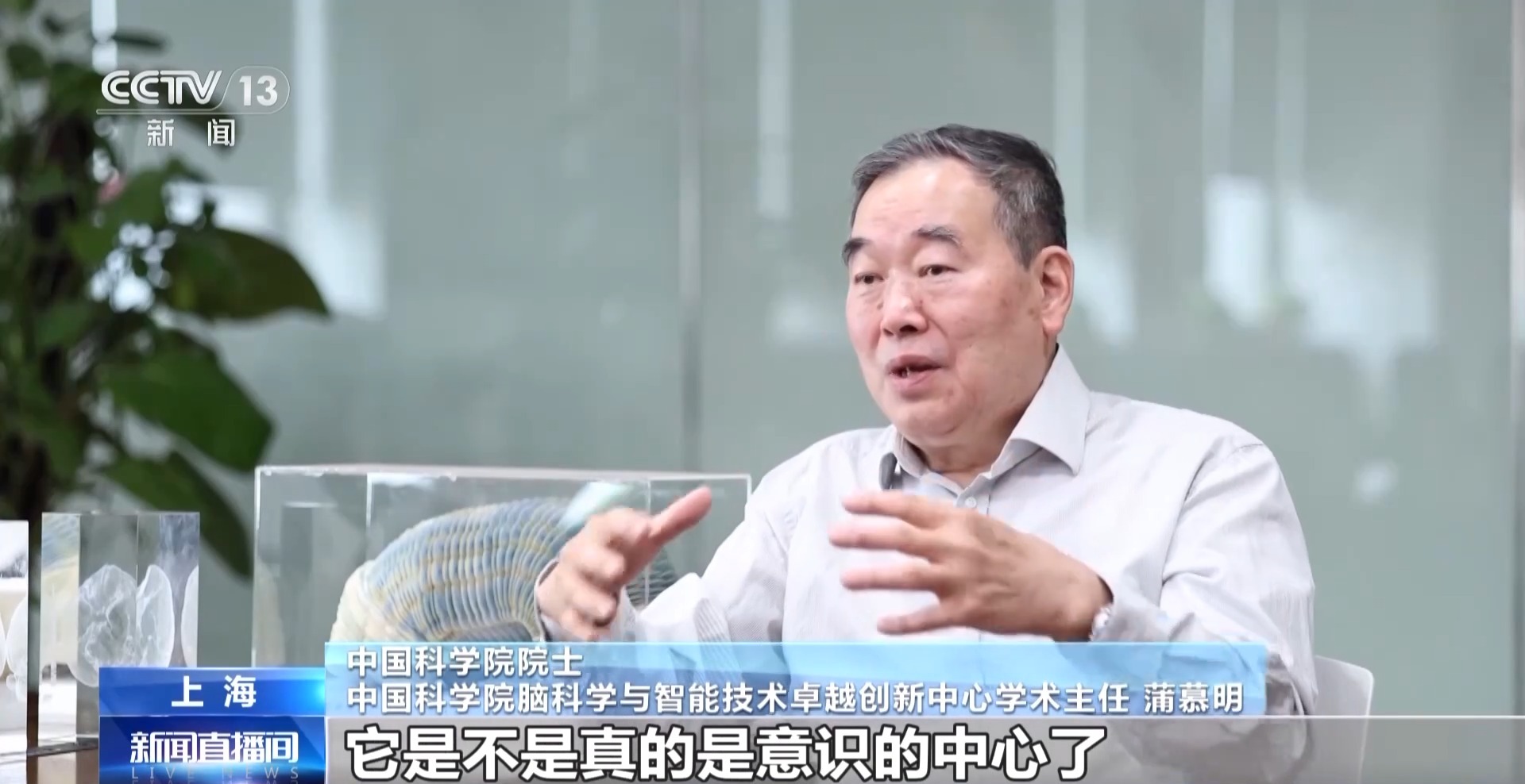 中国脑图谱研究系列成果集中发布 珍贵数据供国内外学者研究