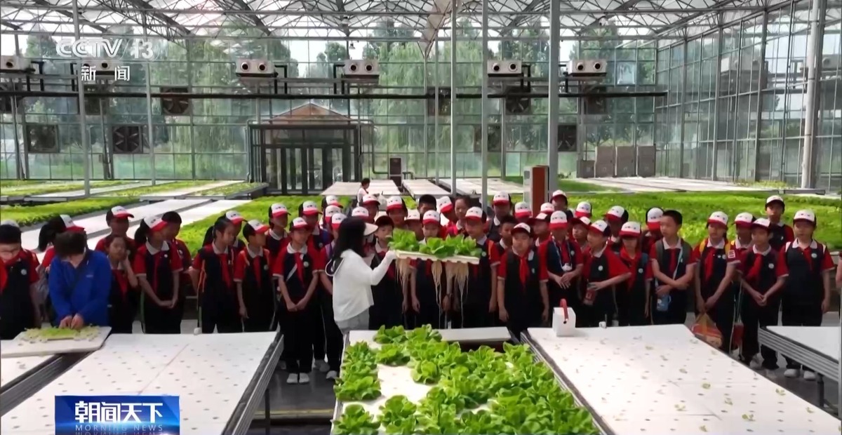 模拟法庭、陶瓷拉坯……各地活动丰富多彩庆“六一” 模拟法庭、陶瓷拉坯……各地活动丰富多彩庆“六一”