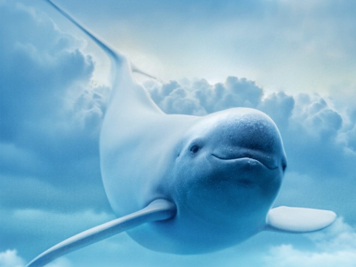 这些“国宝”，正成为江河复苏的见证