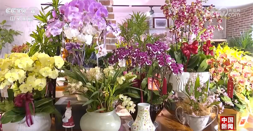 多元业态绘就新图景解锁新花样 节前各地消费市场活力足、人气旺