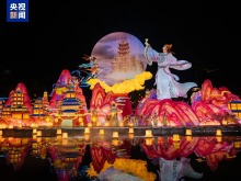 2026年粤港澳大湾区灯会开园亮灯 逾百组灯景点亮湾区新春