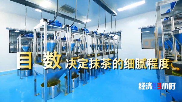 全国四分之一的抹茶产自这里 探访“世界抹茶超级工厂”