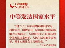 二十届四中全会名词卡片：中等发达国家水平
