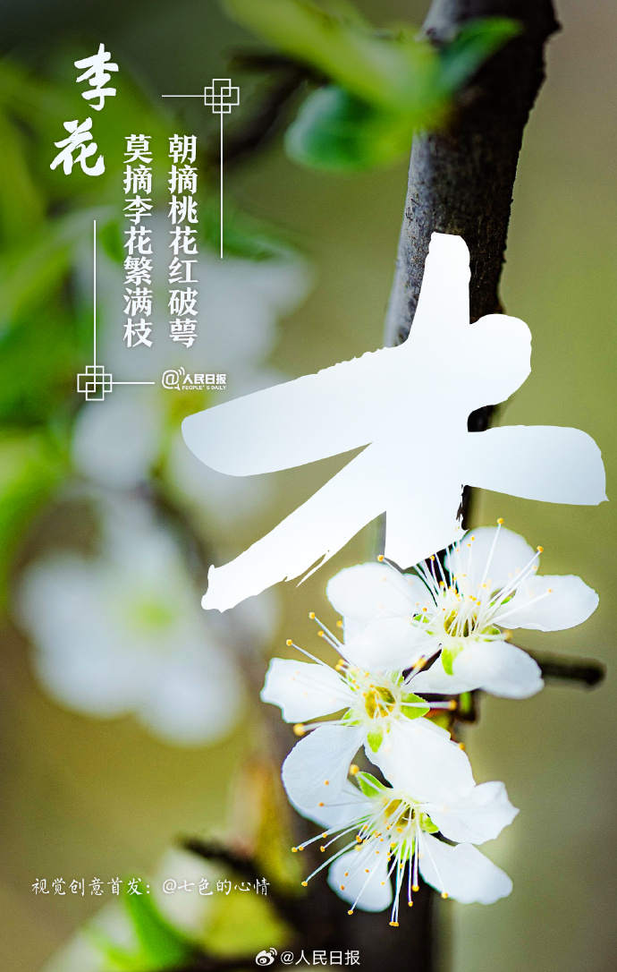 收藏美好！当汉字与春天不期而遇